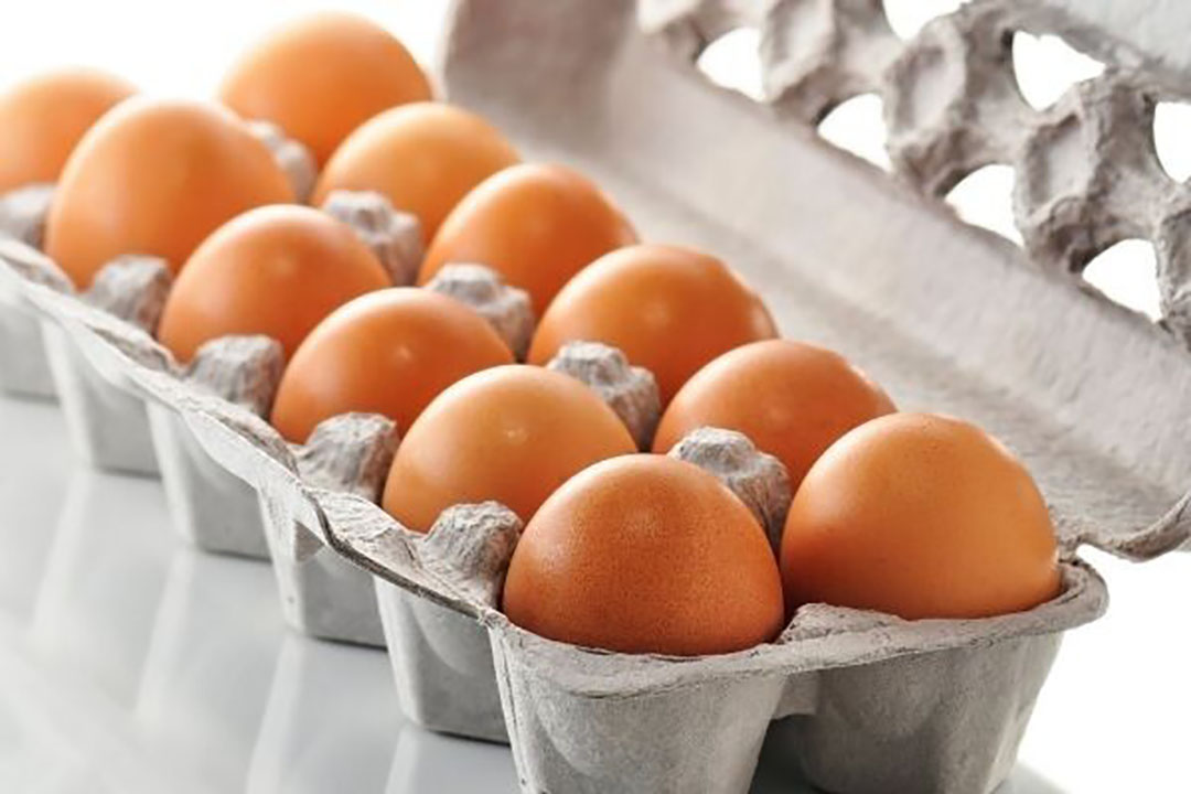 wonder Verdeelstuk Maak leven Goedkoper worden de eieren niet - Food & Agribusiness